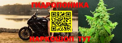каннабис Кингисепп