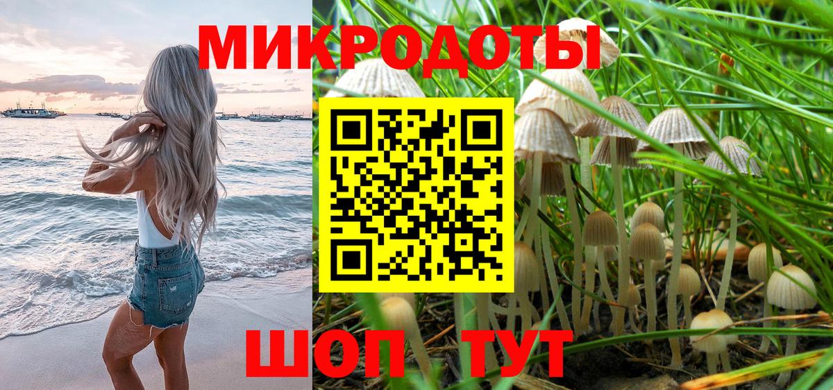 Галлюциногенные грибы прущие грибы Краснознаменск